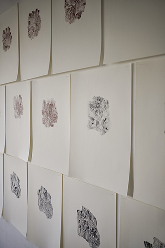 expositions | je-me-souviens | &copy; patrice de Santa Coloma